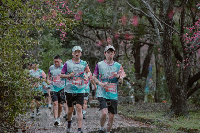 2026左岸竹東櫻花馬拉松Zhudong Sakura Marathon