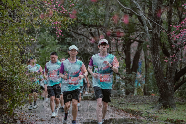 2026左岸竹東櫻花馬拉松Zhudong Sakura Marathon
