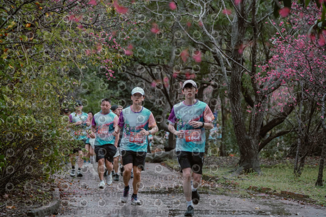 2026左岸竹東櫻花馬拉松Zhudong Sakura Marathon