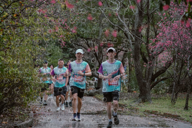 2026左岸竹東櫻花馬拉松Zhudong Sakura Marathon