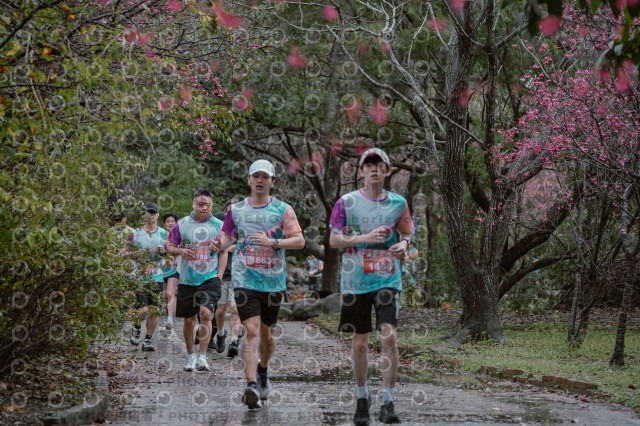 2026左岸竹東櫻花馬拉松Zhudong Sakura Marathon
