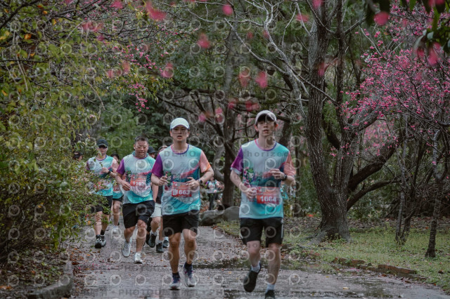2026左岸竹東櫻花馬拉松Zhudong Sakura Marathon