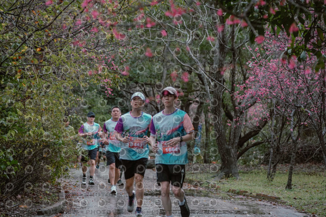 2026左岸竹東櫻花馬拉松Zhudong Sakura Marathon