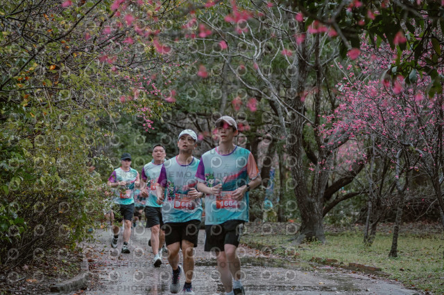 2026左岸竹東櫻花馬拉松Zhudong Sakura Marathon