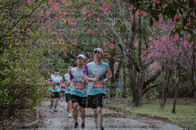 2026左岸竹東櫻花馬拉松Zhudong Sakura Marathon