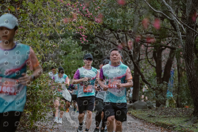2026左岸竹東櫻花馬拉松Zhudong Sakura Marathon