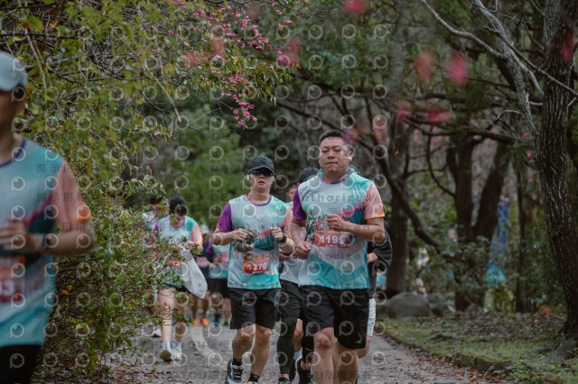 2026左岸竹東櫻花馬拉松Zhudong Sakura Marathon