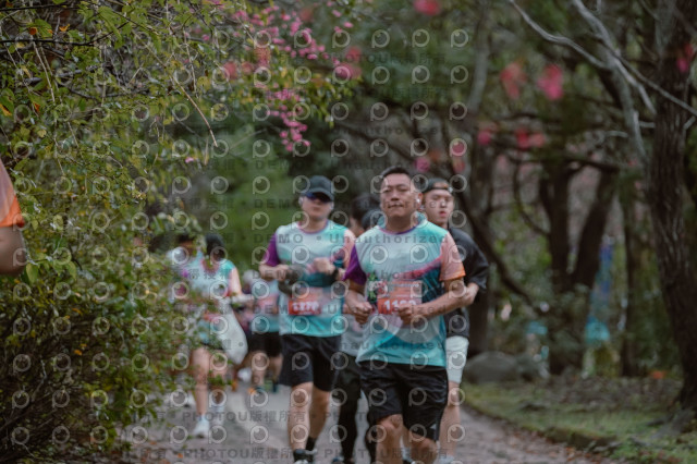 2026左岸竹東櫻花馬拉松Zhudong Sakura Marathon