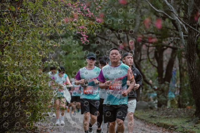 2026左岸竹東櫻花馬拉松Zhudong Sakura Marathon