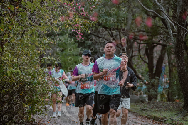 2026左岸竹東櫻花馬拉松Zhudong Sakura Marathon