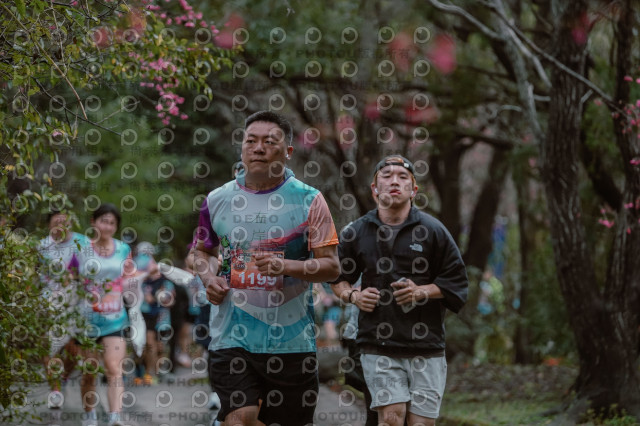 2026左岸竹東櫻花馬拉松Zhudong Sakura Marathon
