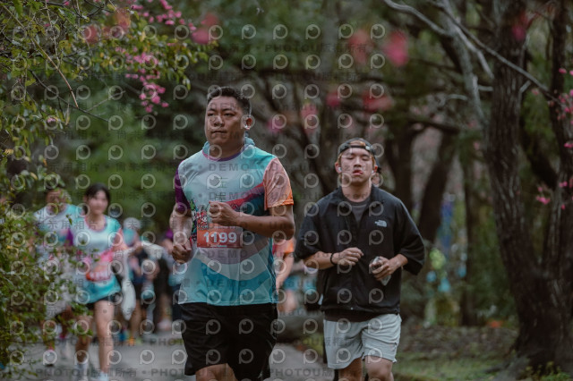 2026左岸竹東櫻花馬拉松Zhudong Sakura Marathon