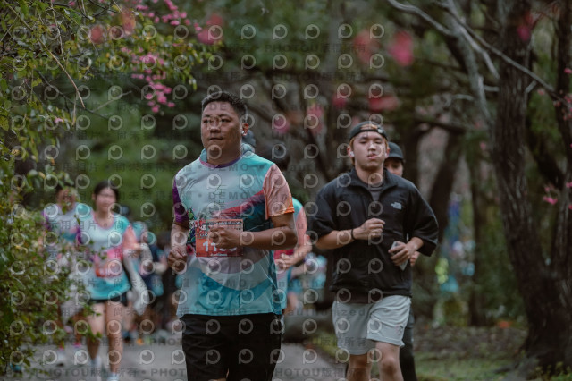2026左岸竹東櫻花馬拉松Zhudong Sakura Marathon