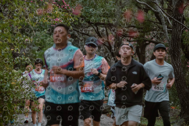 2026左岸竹東櫻花馬拉松Zhudong Sakura Marathon