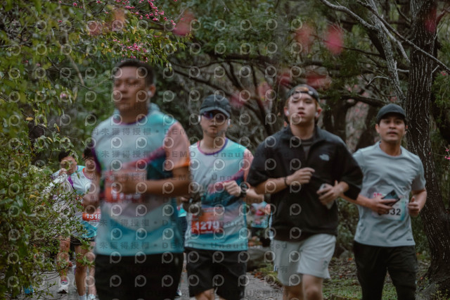 2026左岸竹東櫻花馬拉松Zhudong Sakura Marathon