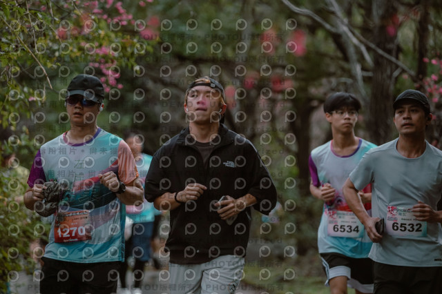 2026左岸竹東櫻花馬拉松Zhudong Sakura Marathon