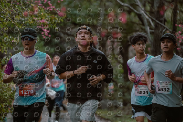 2026左岸竹東櫻花馬拉松Zhudong Sakura Marathon