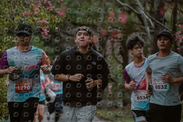 2026左岸竹東櫻花馬拉松Zhudong Sakura Marathon