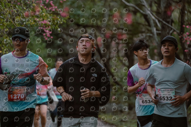 2026左岸竹東櫻花馬拉松Zhudong Sakura Marathon
