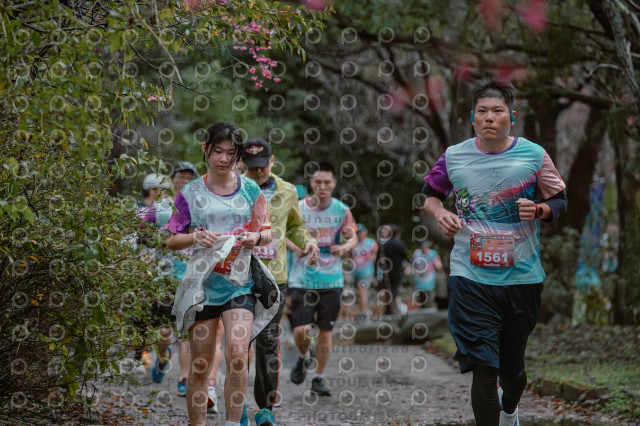 2026左岸竹東櫻花馬拉松Zhudong Sakura Marathon