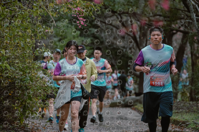 2026左岸竹東櫻花馬拉松Zhudong Sakura Marathon