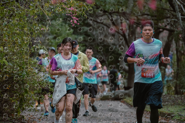 2026左岸竹東櫻花馬拉松Zhudong Sakura Marathon