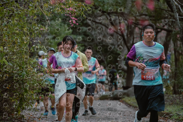 2026左岸竹東櫻花馬拉松Zhudong Sakura Marathon