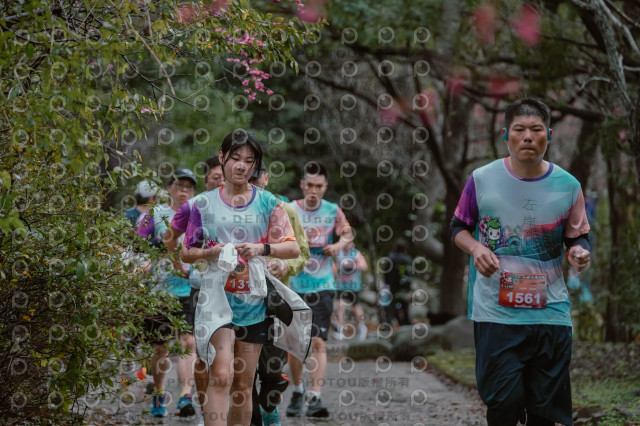 2026左岸竹東櫻花馬拉松Zhudong Sakura Marathon