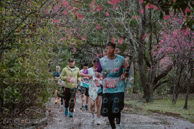 2026左岸竹東櫻花馬拉松Zhudong Sakura Marathon