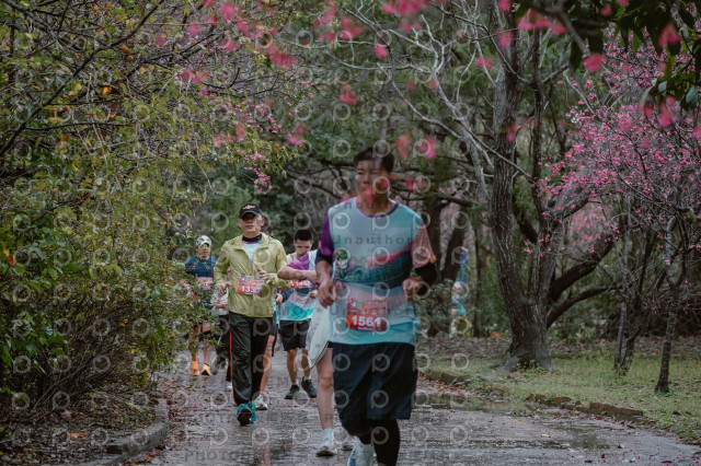 2026左岸竹東櫻花馬拉松Zhudong Sakura Marathon
