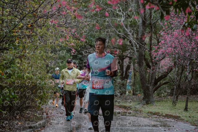 2026左岸竹東櫻花馬拉松Zhudong Sakura Marathon