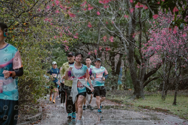 2026左岸竹東櫻花馬拉松Zhudong Sakura Marathon