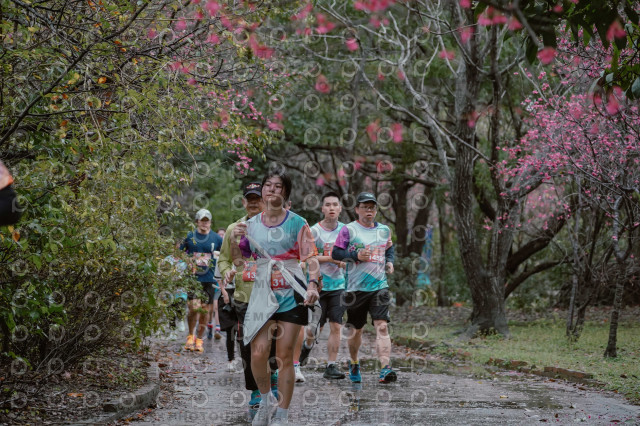 2026左岸竹東櫻花馬拉松Zhudong Sakura Marathon