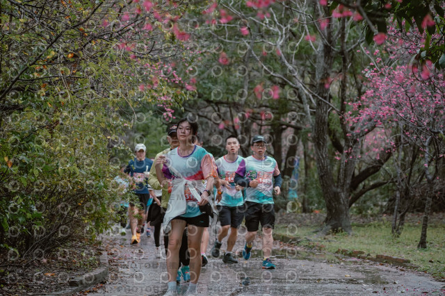 2026左岸竹東櫻花馬拉松Zhudong Sakura Marathon