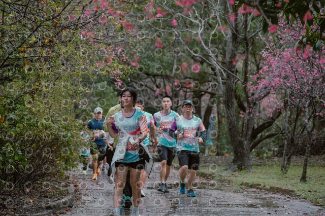 2026左岸竹東櫻花馬拉松Zhudong Sakura Marathon
