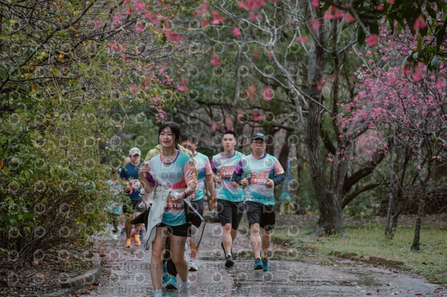 2026左岸竹東櫻花馬拉松Zhudong Sakura Marathon