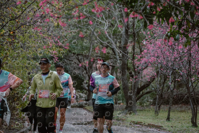2026左岸竹東櫻花馬拉松Zhudong Sakura Marathon