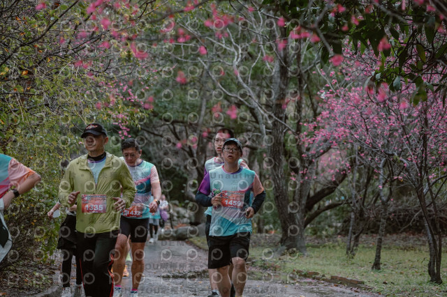 2026左岸竹東櫻花馬拉松Zhudong Sakura Marathon