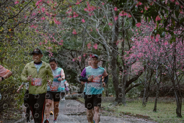 2026左岸竹東櫻花馬拉松Zhudong Sakura Marathon