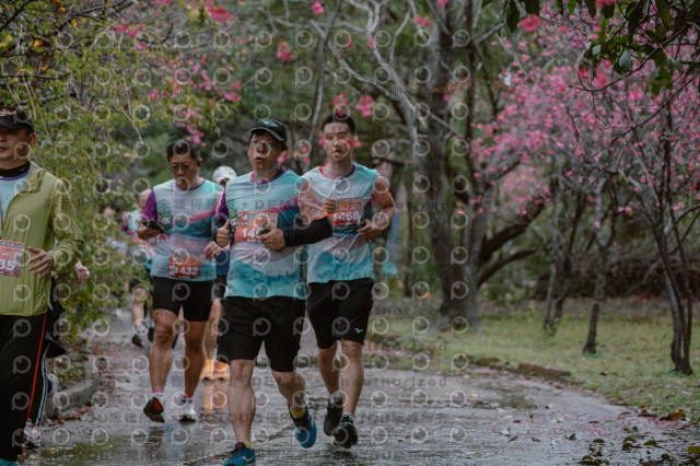 2026左岸竹東櫻花馬拉松Zhudong Sakura Marathon