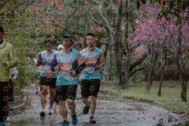 2026左岸竹東櫻花馬拉松Zhudong Sakura Marathon