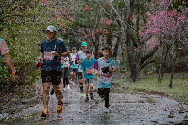 2026左岸竹東櫻花馬拉松Zhudong Sakura Marathon