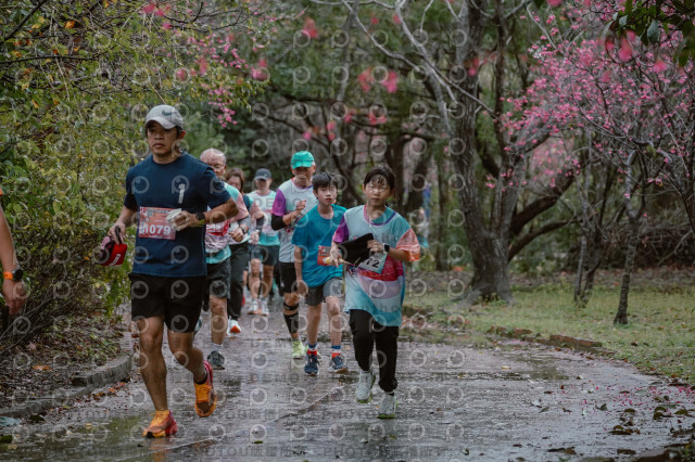 2026左岸竹東櫻花馬拉松Zhudong Sakura Marathon