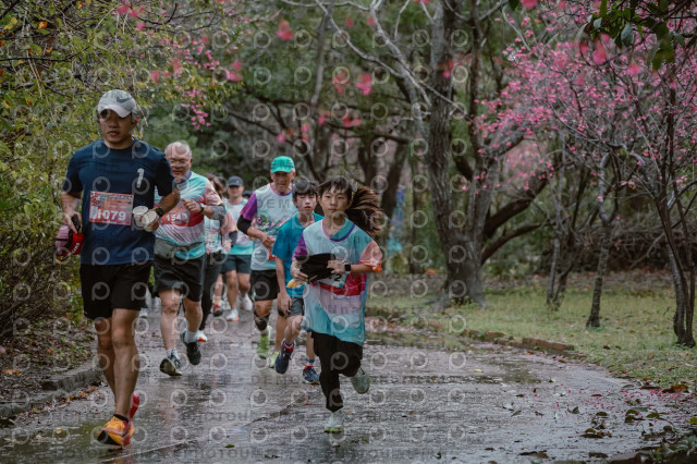 2026左岸竹東櫻花馬拉松Zhudong Sakura Marathon