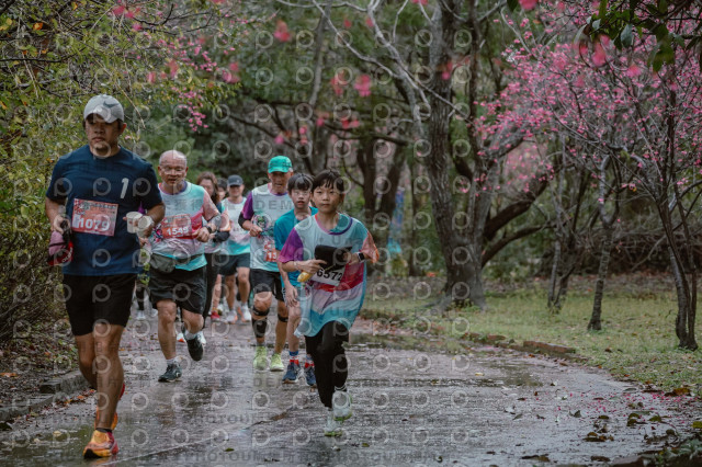 2026左岸竹東櫻花馬拉松Zhudong Sakura Marathon