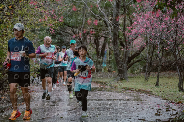 2026左岸竹東櫻花馬拉松Zhudong Sakura Marathon