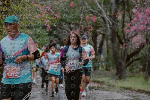 2026左岸竹東櫻花馬拉松Zhudong Sakura Marathon