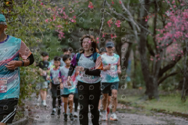 2026左岸竹東櫻花馬拉松Zhudong Sakura Marathon
