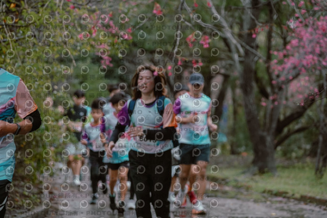 2026左岸竹東櫻花馬拉松Zhudong Sakura Marathon