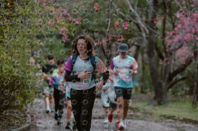 2026左岸竹東櫻花馬拉松Zhudong Sakura Marathon